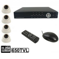 4-CH Embedded Digital Video Recorder Kit (1 / 3 Sony CCD, 650TVL, 24 x IR LED, 6mm Lens, IR Distance: 25m, H.264