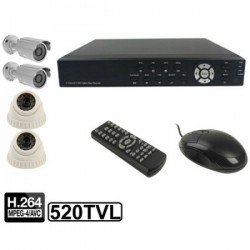 4-CH Embedded Digital Video Recorder Kit (1 / 3 Sony CCD, 520TVL, 24 x IR LED, 6mm Lens, IR Distance: 25m, H.264